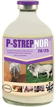 P-Strepnor 100ml