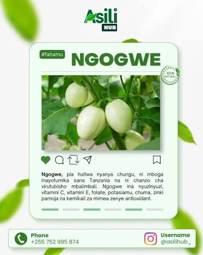 Nyanya Chungu 25G