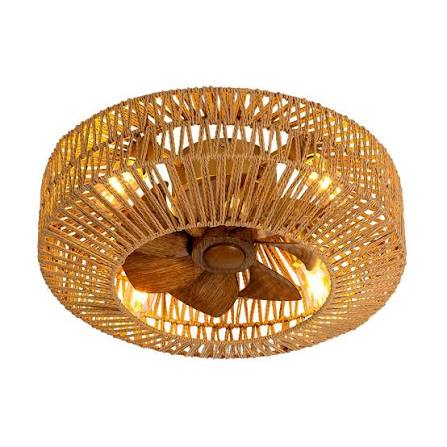 Ceiling fan(light)