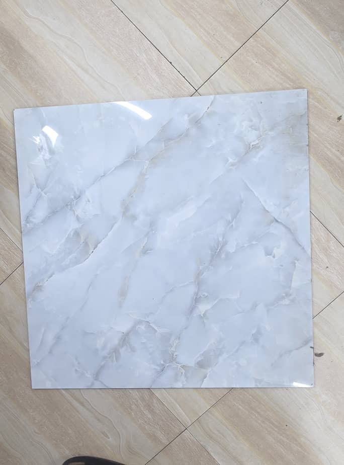 Vigae(OCEANIC 60*60)