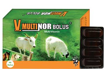 V-Multinor Bolus