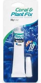 Glue coral(P/50)