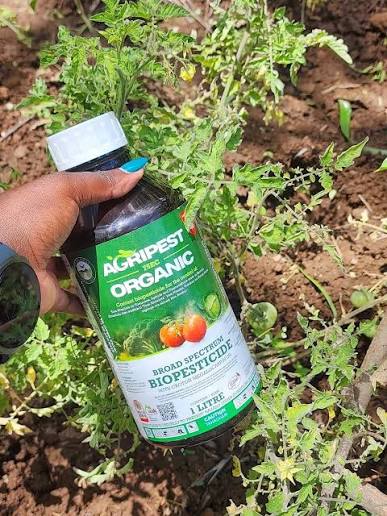 Keen Booster Foliar 0.5L