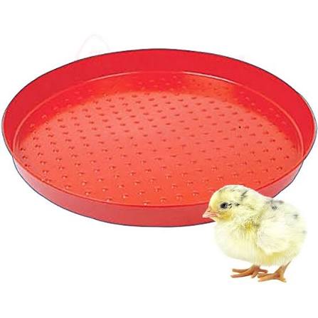 Chick Plate