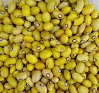 beans