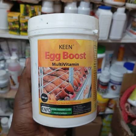 Egg Boost KNFD 500g
