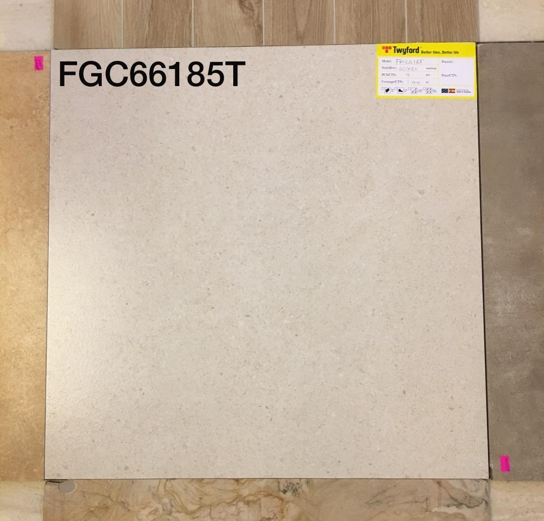 Vigae (FGC 66185)