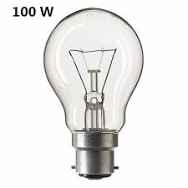 Bulb 100w